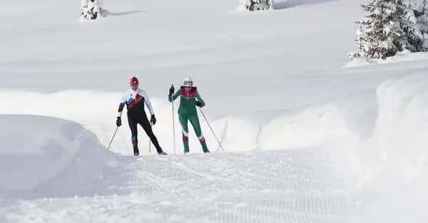 Cross-Country Skiing