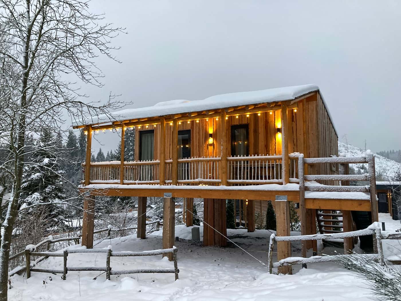 4P Tree House with Slide