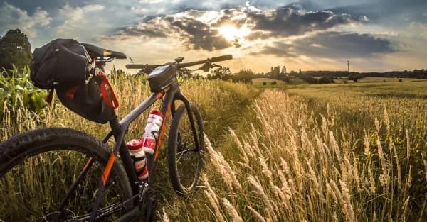 For adrenaline-seeking mountain bikers